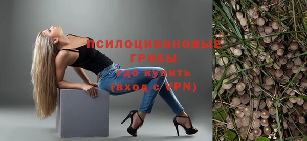 дживик Зеленокумск