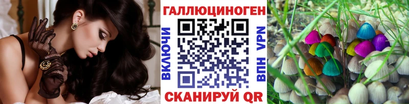 Купить где  Чухлома  Псилоцибиновые грибы Cubensis 